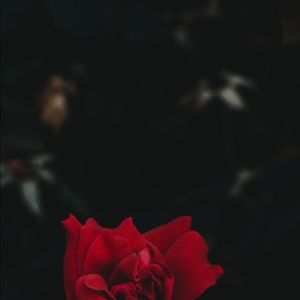 Meet your Posher, Abdelaziz